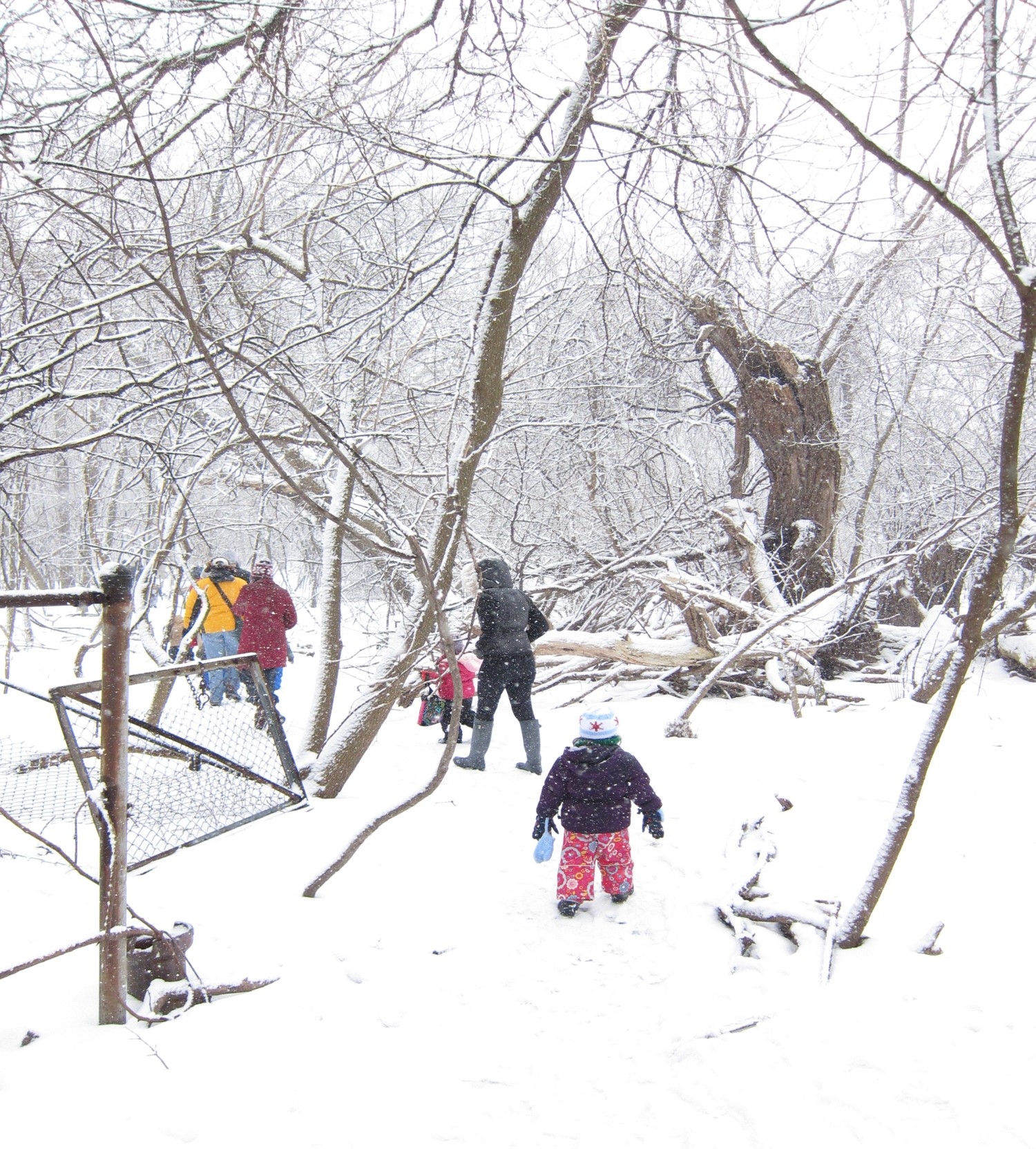 North Park Village Nature Center
