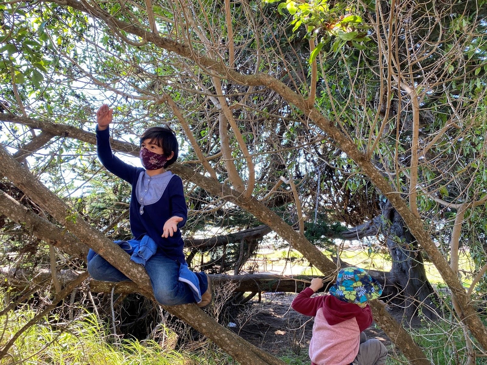Photo by: Berkeley Forest School