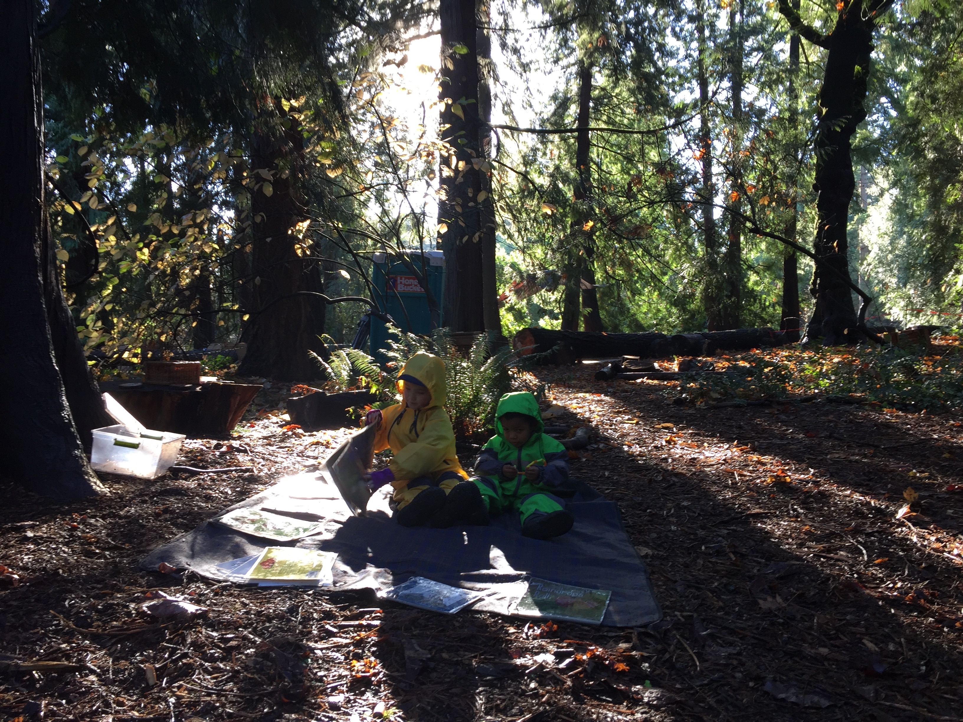 Fiddleheads Forest School