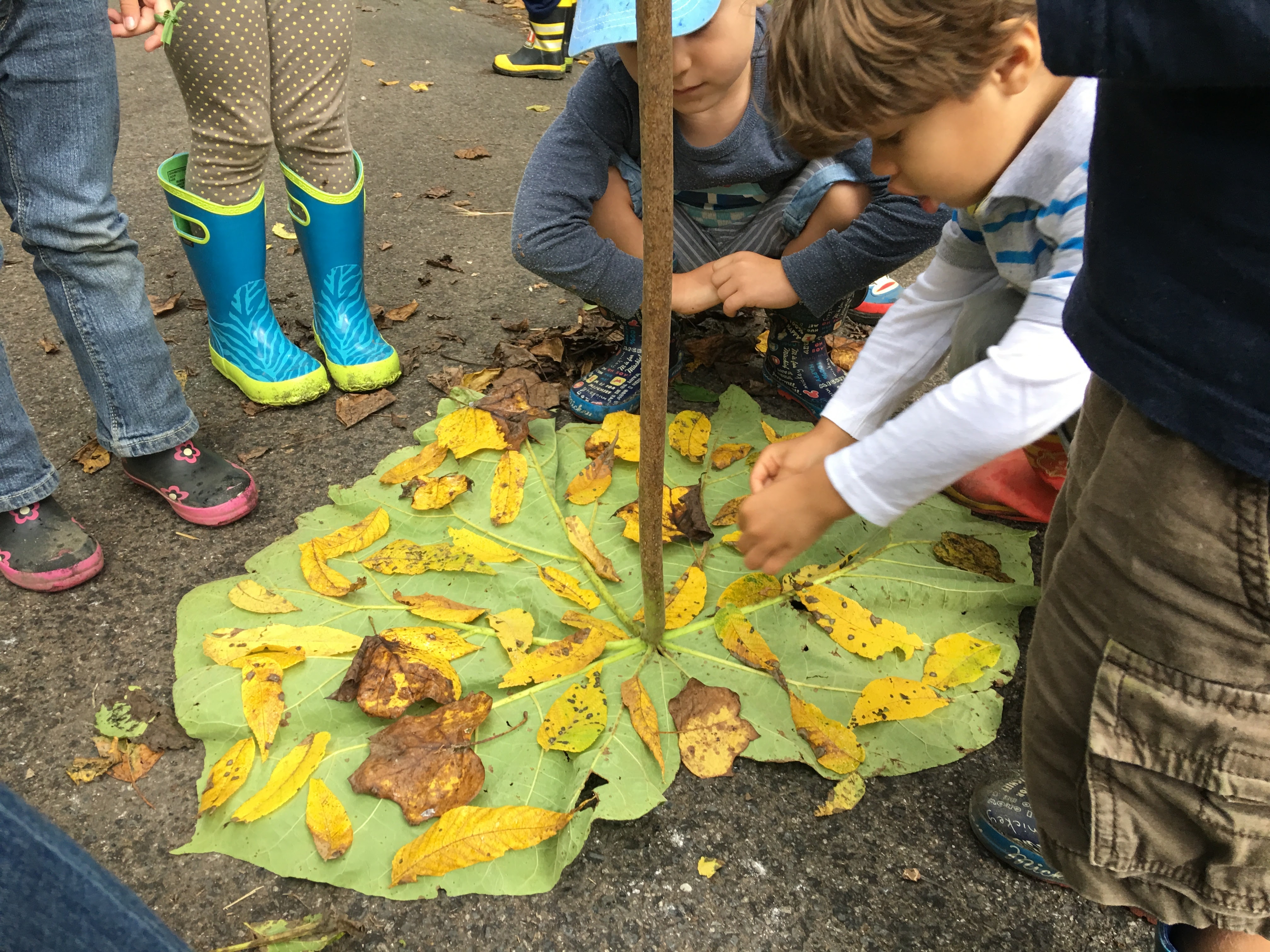 Photo from The Nature Preschool at Irvine Nature Center