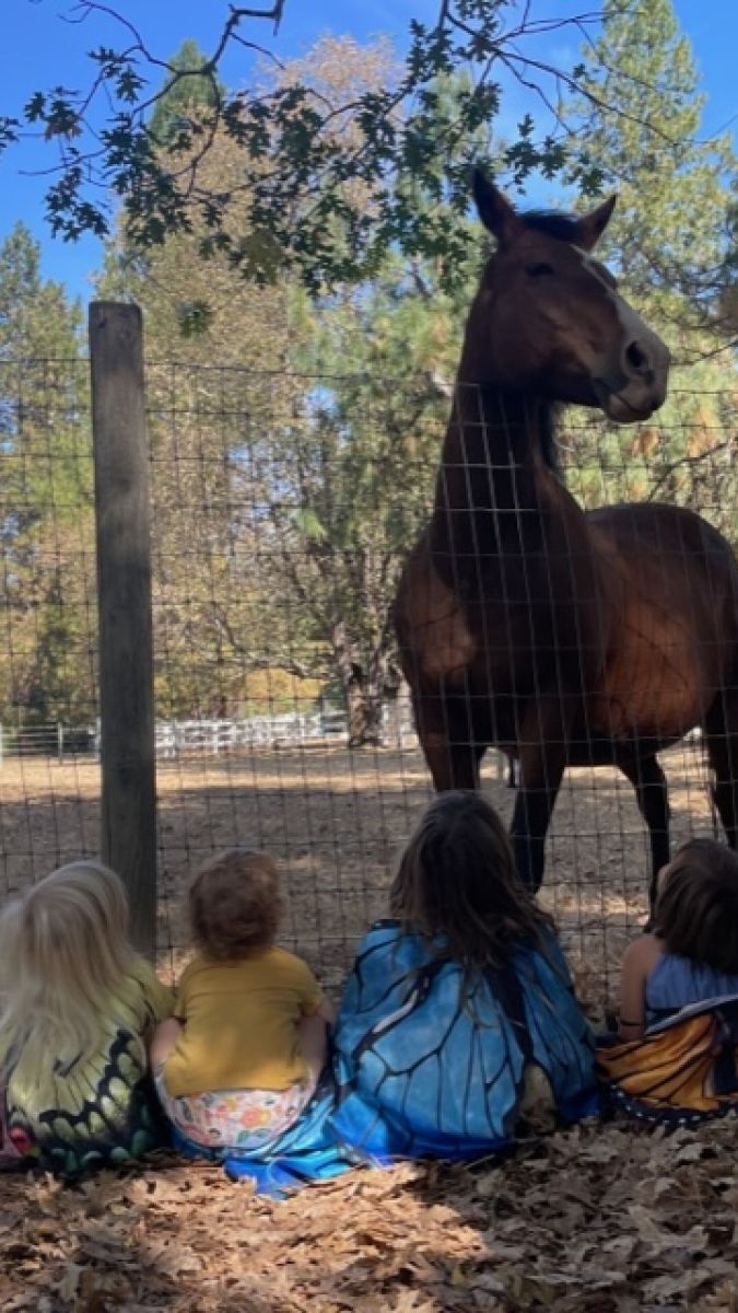 three children looking at a horse behind a fence