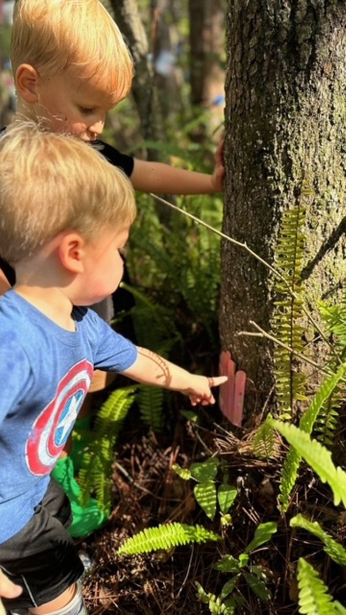 two young boys touching a tree