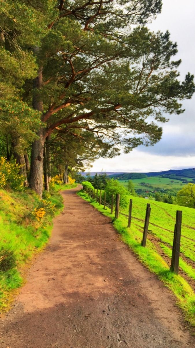 Scottish countryside.