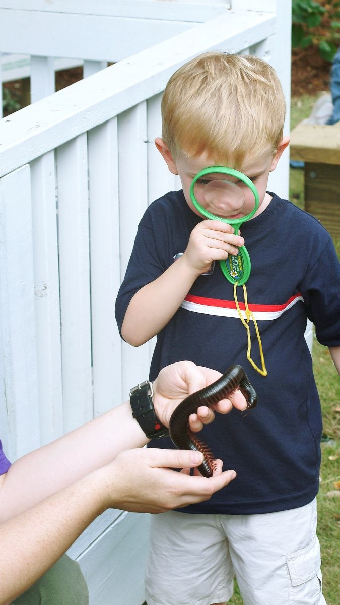 Investigating a millipede.