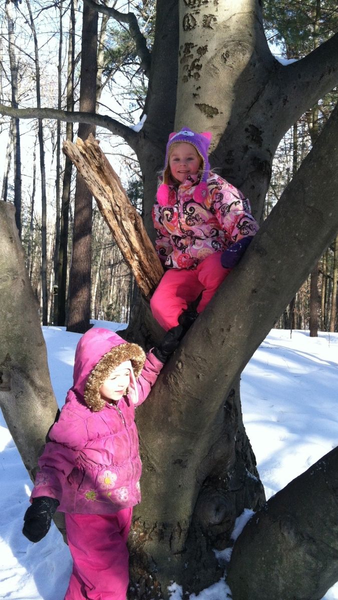 Often children have a short free play time in the woods at the end of their class hike.