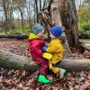 Photo Credit: First Roots-Wild Roots