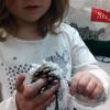 A Primary Photo Journalist records her partner's work during an activity to create bird feeders for the school yard.