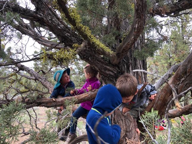 Photo credit: Bend Forest School