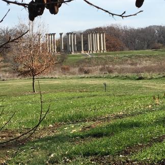 National Arboretum