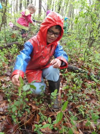 The Nature Preschool at Irvine Nature Center