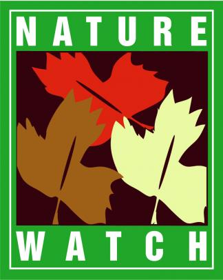 The Age of Nature | Watch on PBS Wisconsin