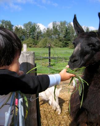 Nurturing Children's Love for Animals Natural Start