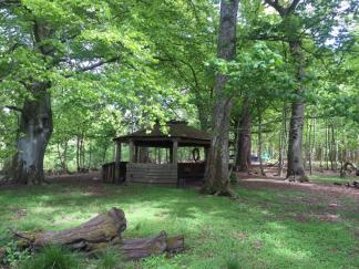 Auchlone Nature Kindergarten fire circle