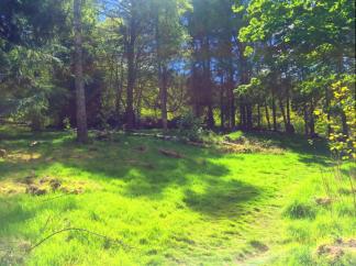 A hill in “Stickland” where the Cowgate students can visit regularly.