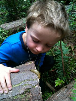 Cedarsong Nature School