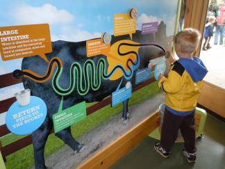 Interactive exhibits can enhance learning, but are an expensive element to include in a preschool.