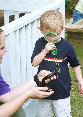 Investigating a millipede.