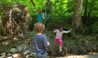 Children jump across the creek on a forest exploration.