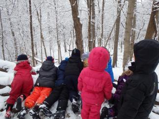 Children searching for deer in the forest