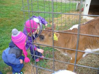 Wild Roots students greet a new calf at the farm.