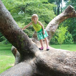 A downed tree becomes a favorite play space.