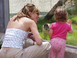 Watching monkeys enjoy the treats we made.