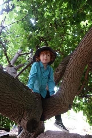 Tree climbing, an opportunity to practice risk assessment and build confidence