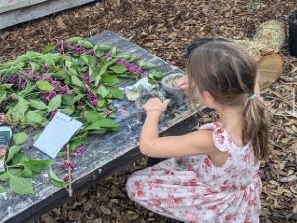 child sorting leaves and berries on a table
