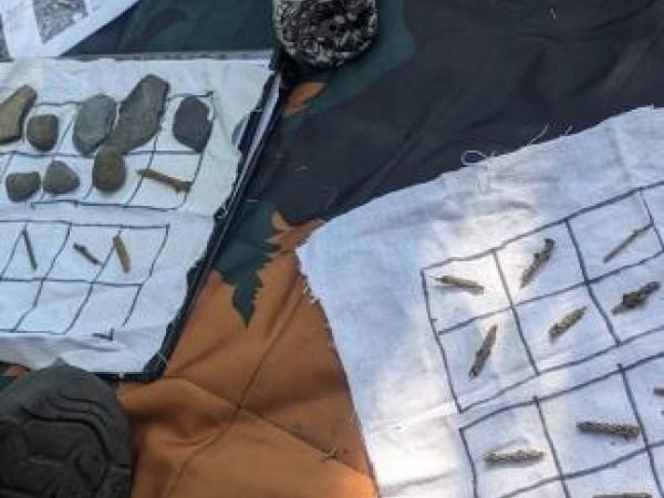 sticks and rocks sorted on cloth