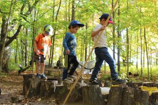 Photo: Secret Forest Playschool