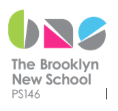 Brooklyn New School PS 146
