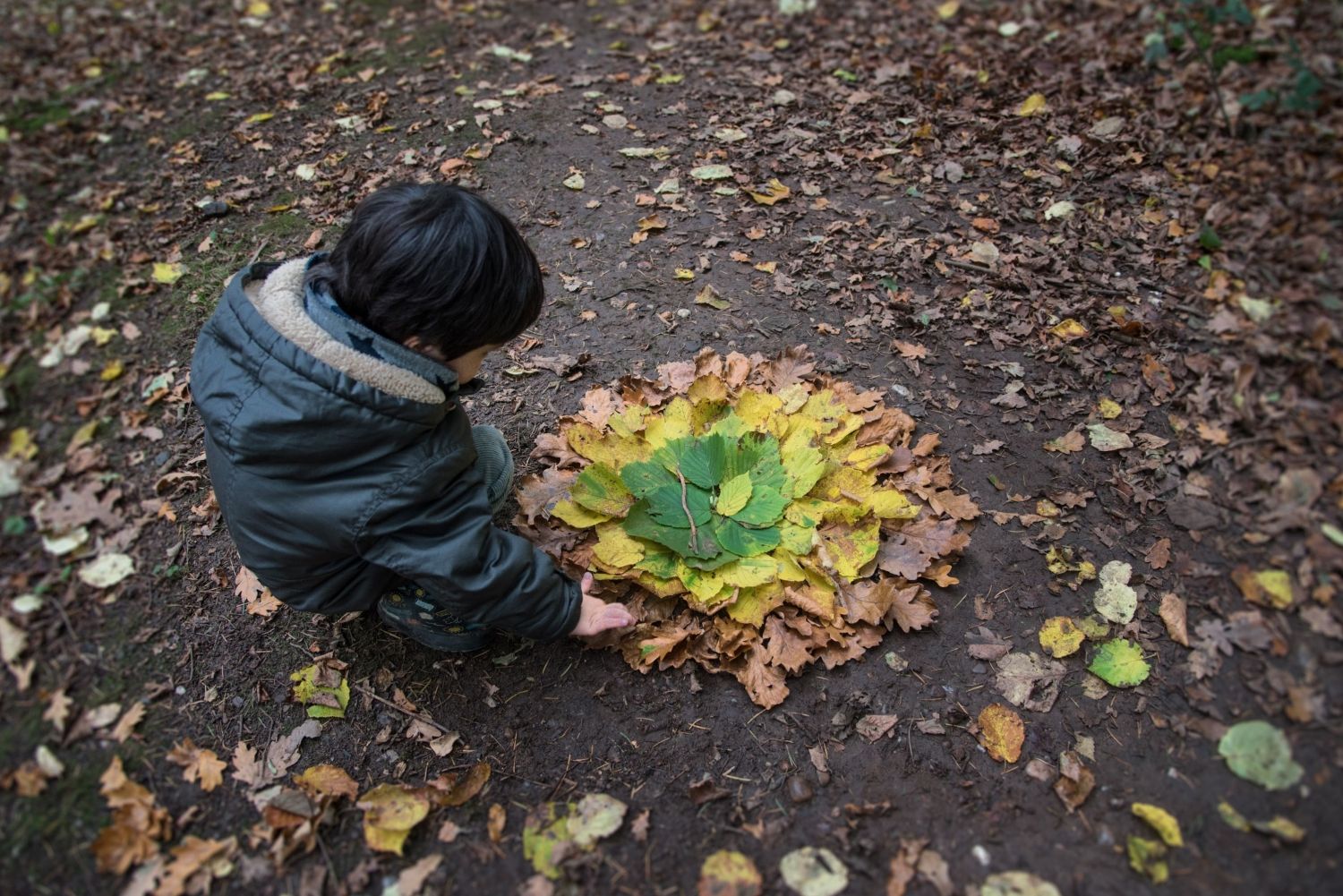 child creating leaf art