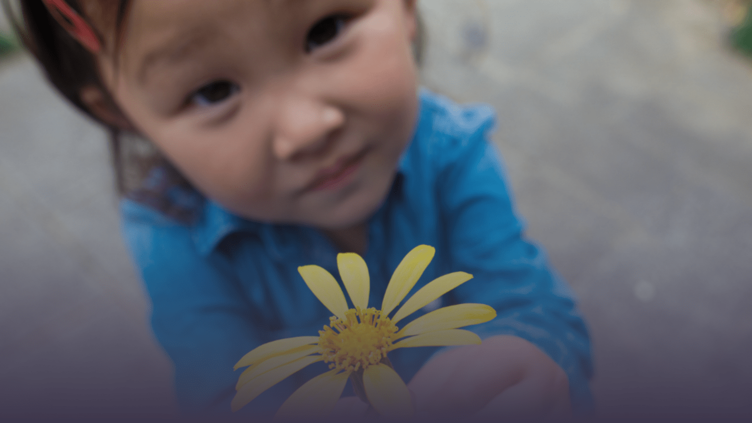child holding yellow daisy