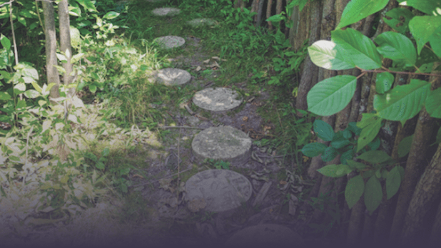round stone path through garden