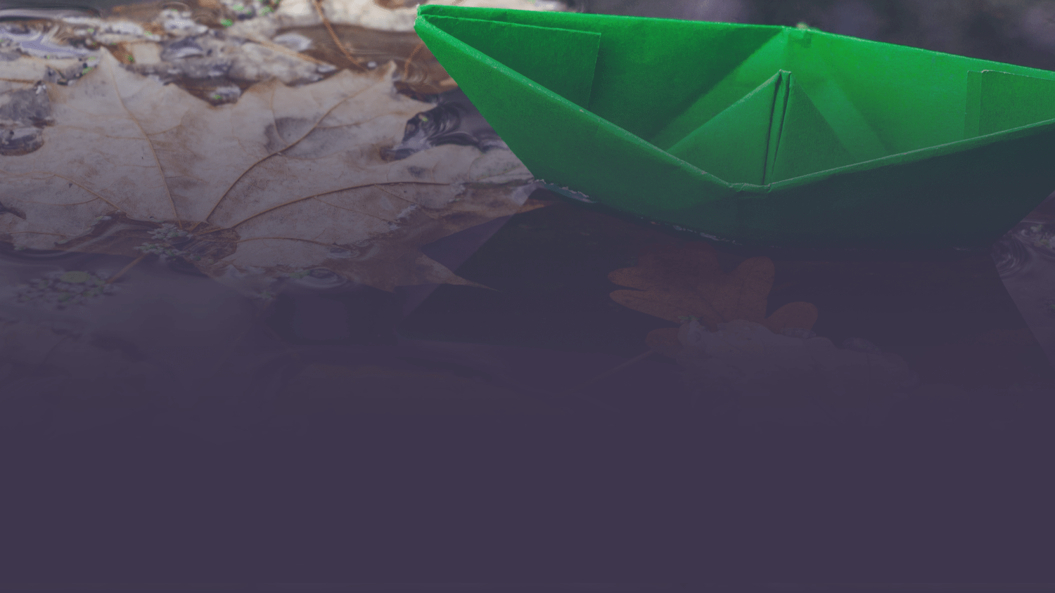 paper boat floating on leaves