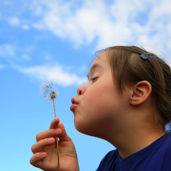 A young girl blows on a dandelion.