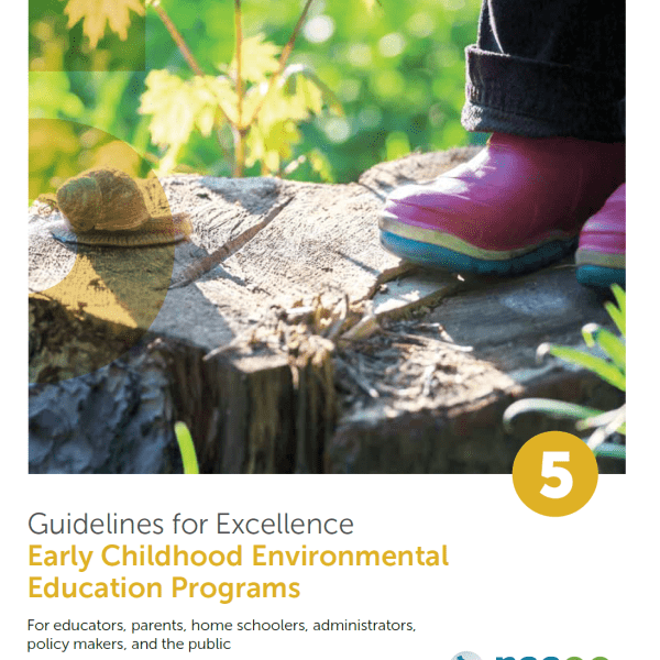 Guidelines for Excellence Cover