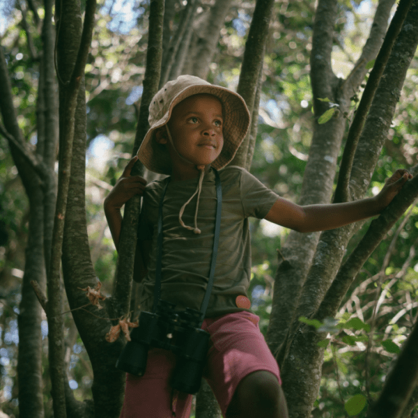 Confident, Satisfied Visionary Kid in Tree