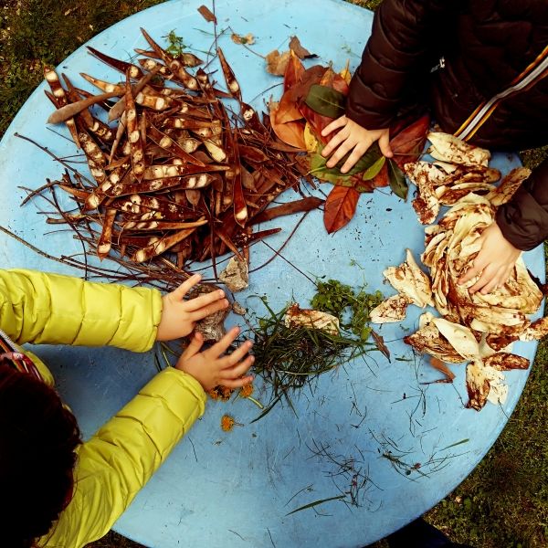 children doing leaf art on tree stump