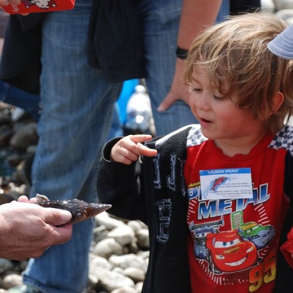 young child looking at a salmon on rocky shore