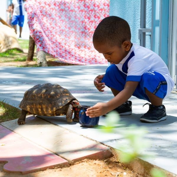 Brazilian child playing outside with turtle