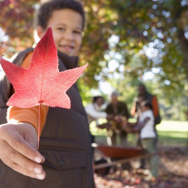 young boy holding autumn leaf