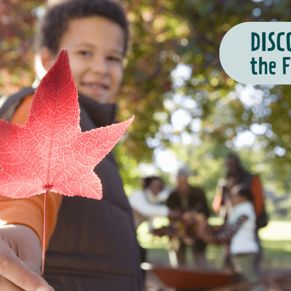 Young child holding red leaf