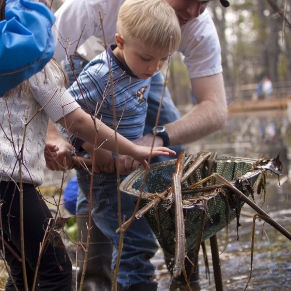 child using net to study chippewa nature center