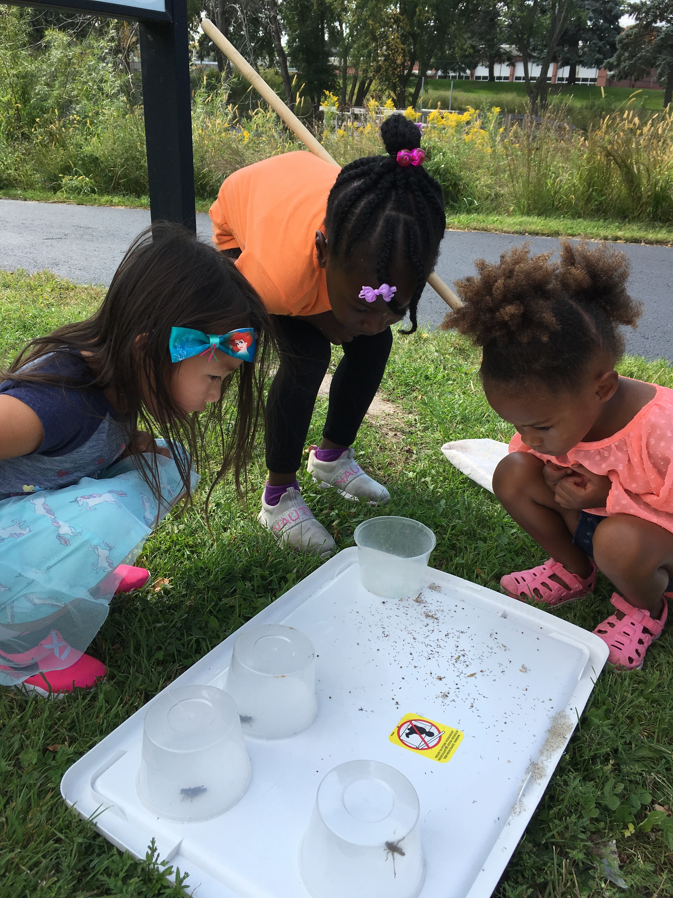 Little Bugs Nature Preschool