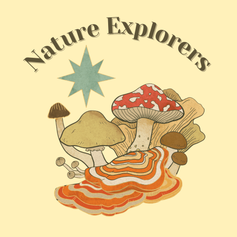 Nature Explorers written in black on yellow background with 5 different types of colorful mushrooms