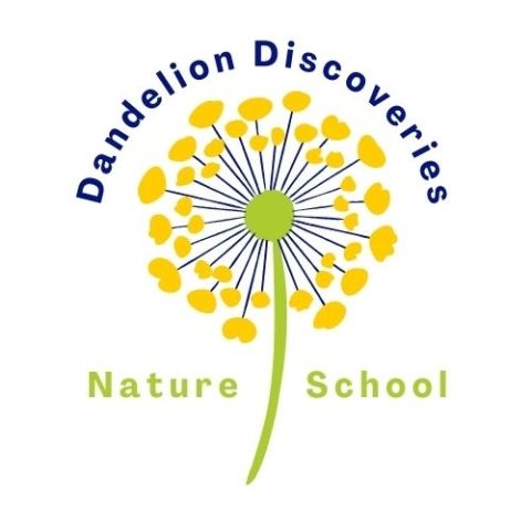Logo of DDNS