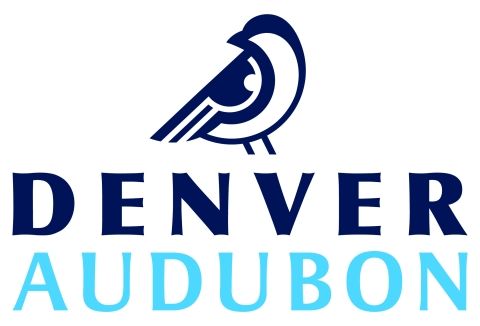 Denver Audubon logo featuring a stylized blue bird facing right beside the words “DENVER AUDUBON.”