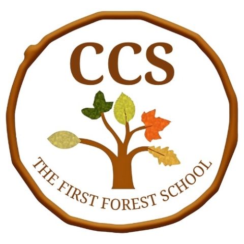 The first forest school 
