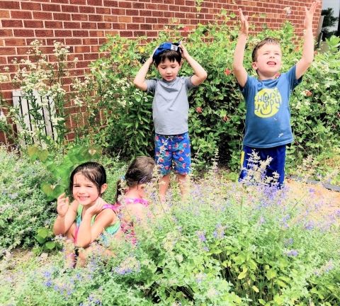 Children playing amongst purple, native flowers.